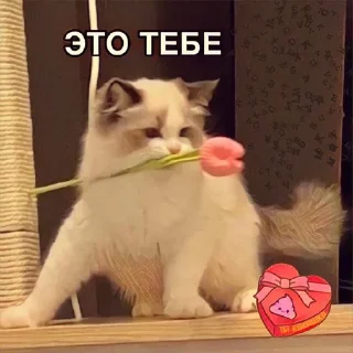 😌