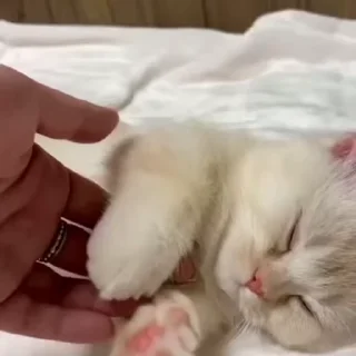 ☺️