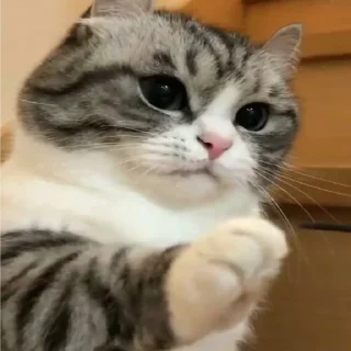 🥰