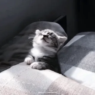 🍙