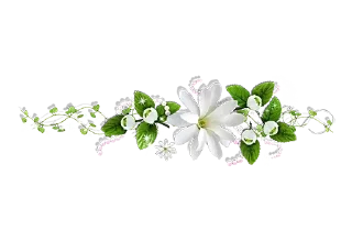 🌸