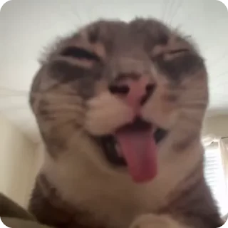 😜