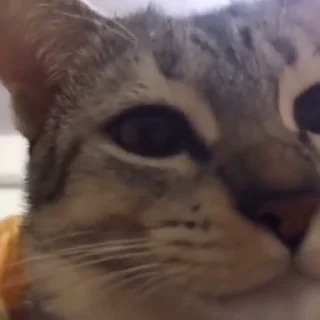 🤨