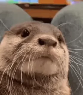 😉