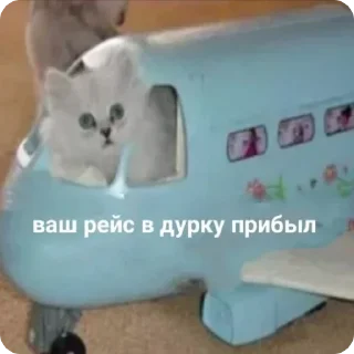 🥴