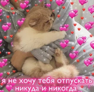 🥺