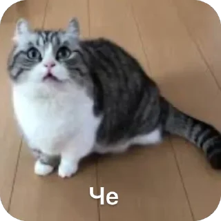 🫥