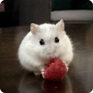 🍓