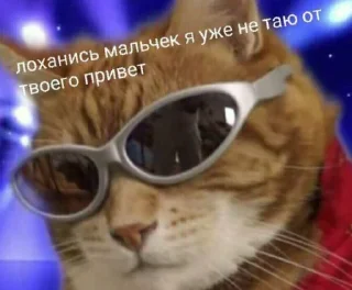 🥺