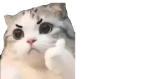 👍