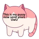 🐱