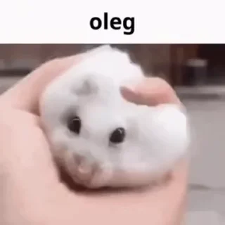 oleg @emojis4 @malven_trade