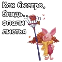 🍁