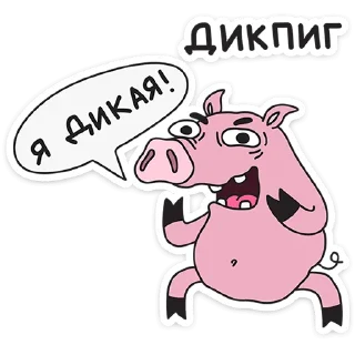 🐷