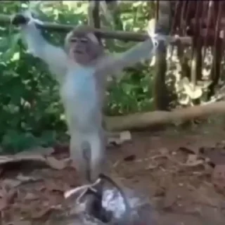 💀