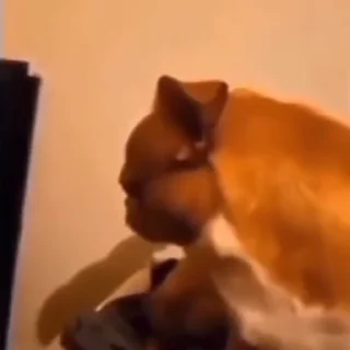 😄