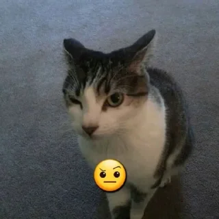 🧐