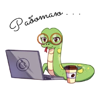 💻