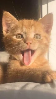 😝