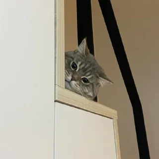 👀