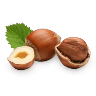 🌰