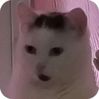 👋