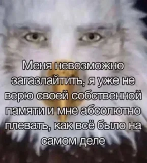 😎