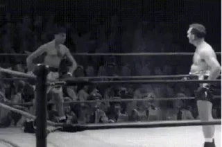 🥊