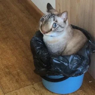 🗑