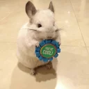 🏅