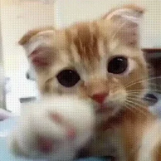 🤗
