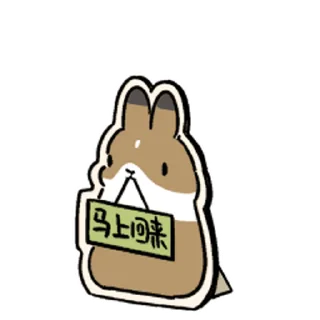 🐰