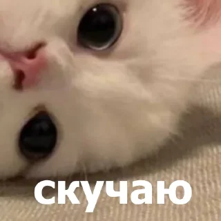 😒