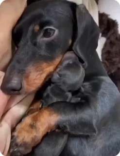🤱