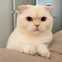 🤨