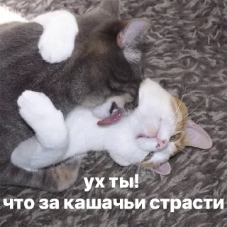 😍