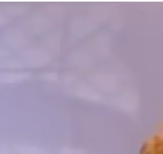 ✅