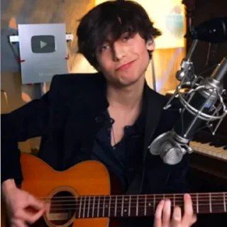 🎸