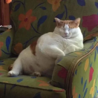 😎
