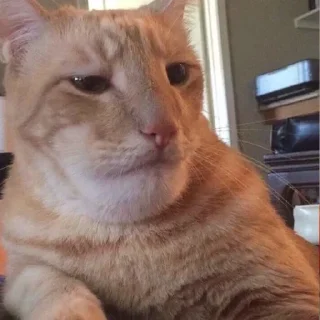 😒