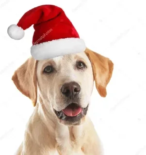 🥳