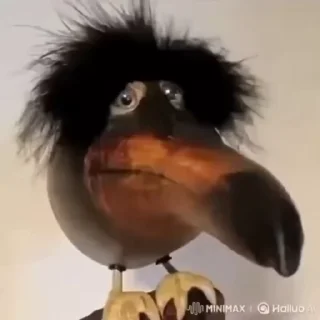 😎