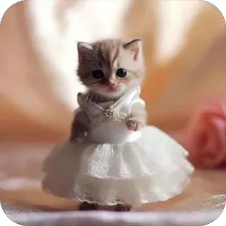 🎀