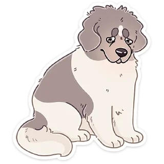🐶
