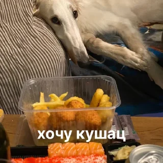 🍽