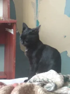 🤨