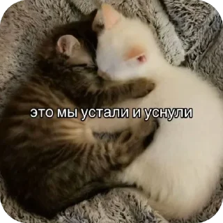 🥰