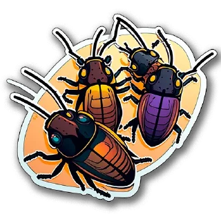 🐞