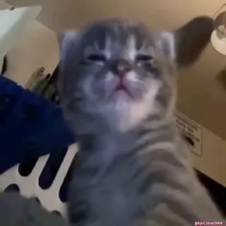 😴
