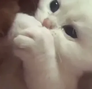 🥸